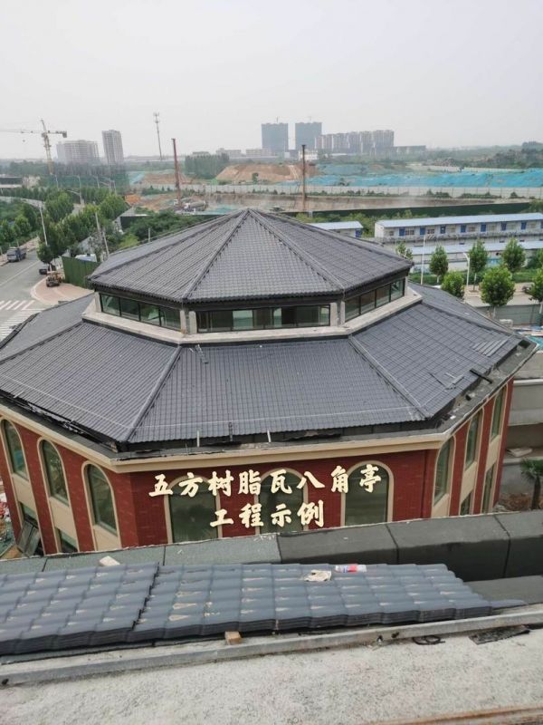 合成樹(shù)脂瓦案例